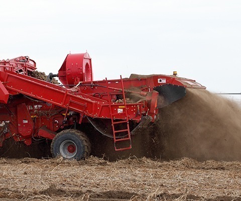 Agriculture